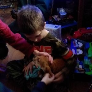 Meet your Posher, Kylor